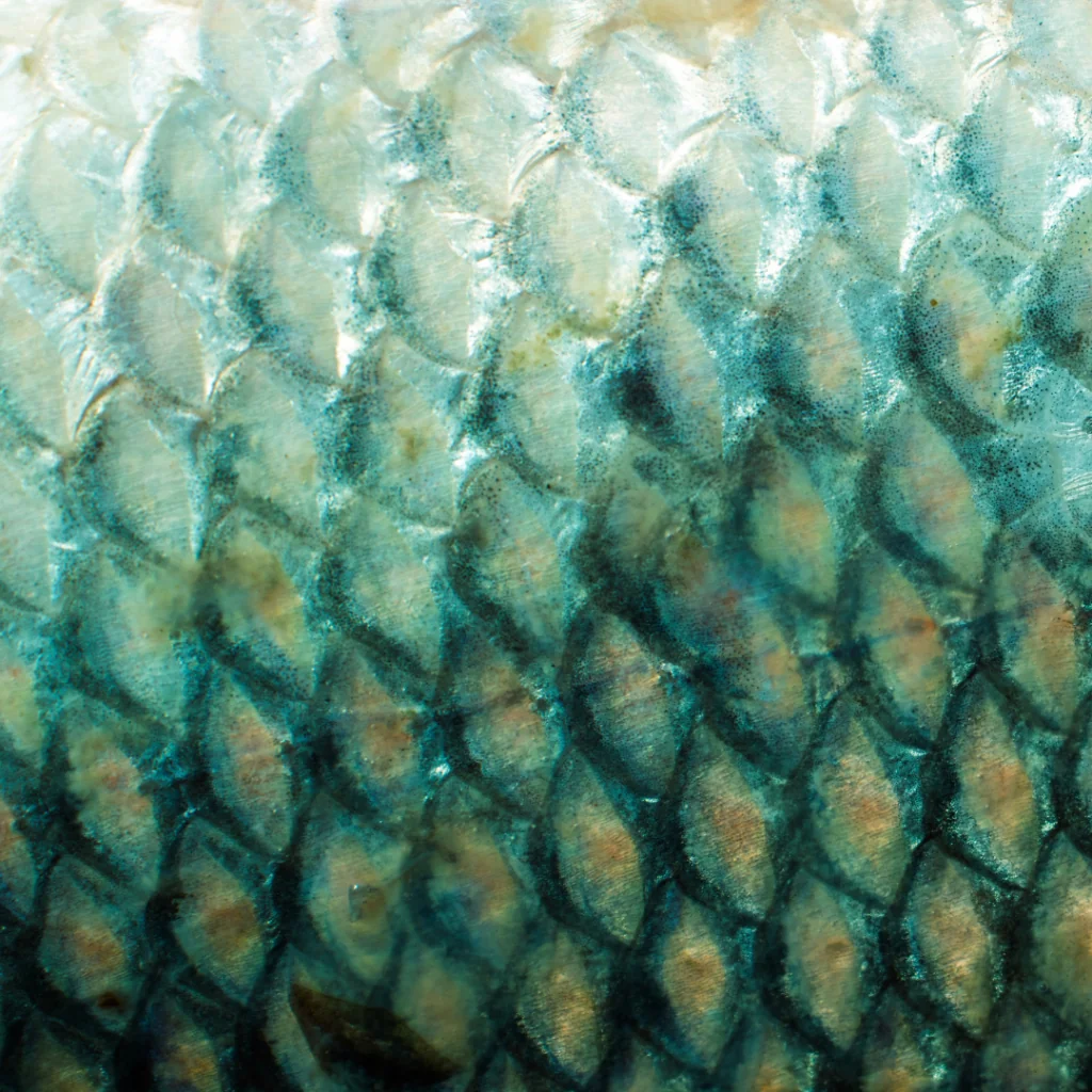 Mermaid Facial at Beautiful U Medical Spa in American Fork, UT that includes Salmon DNA for skin rejuvenation